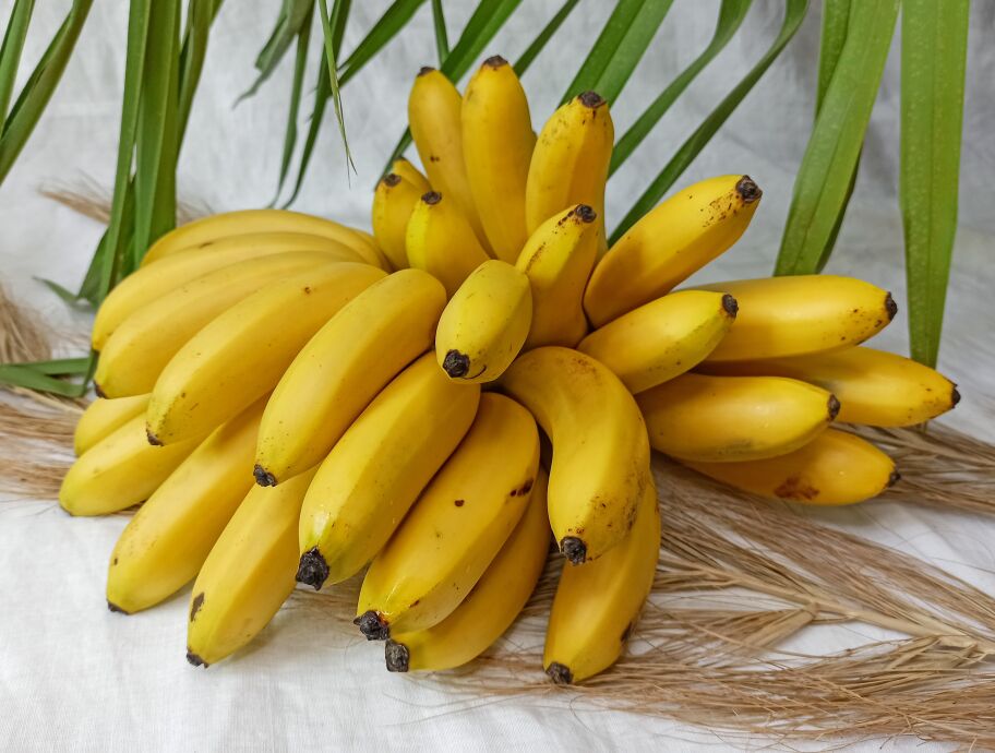 5939 Якщо сняться Банани