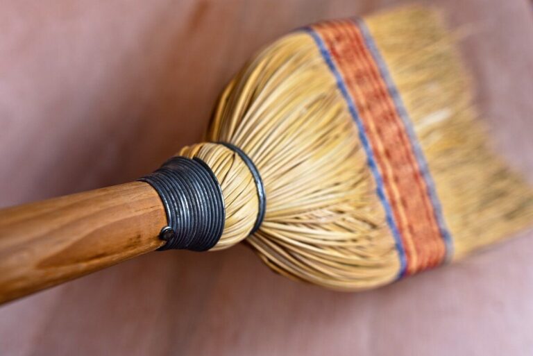 Якщо сниться Віник 6597 Якщо сниться Віник